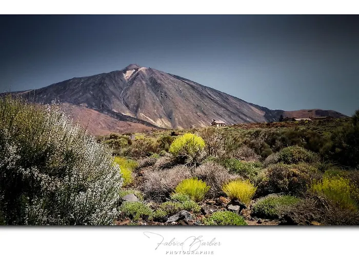 Apartment Agua Viva *