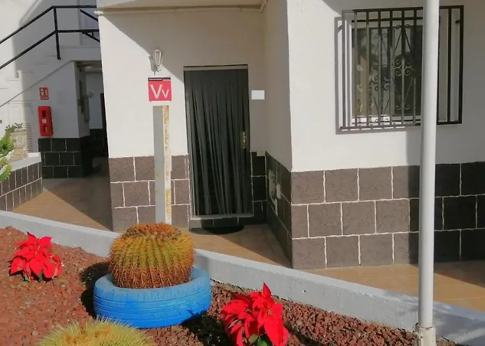 Agua Viva קיאו סלבאחה